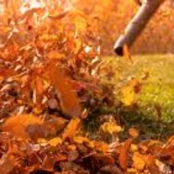 Lawn-Care-photo-4